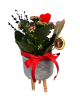 Kalonchoe lavanta